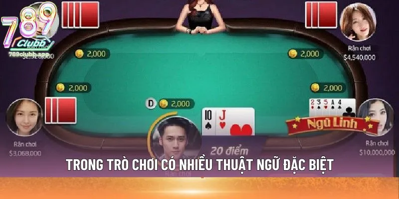 Trong trò chơi có nhiều thuật ngữ đặc biệt